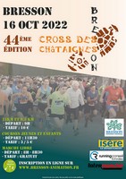 Affiche Cross des Châtaigne