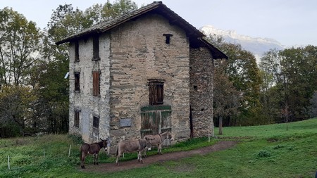 29-10-2022 - Boucle de la Carrelière