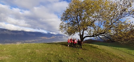 19/11/2022, la Tour Ronde de Domène