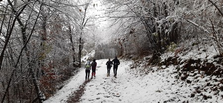 02/12/2023 - Samedi - Dans la neige - 1