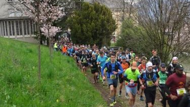 17/03/2024 - Sacré Trail des Collines - Robin - 1
